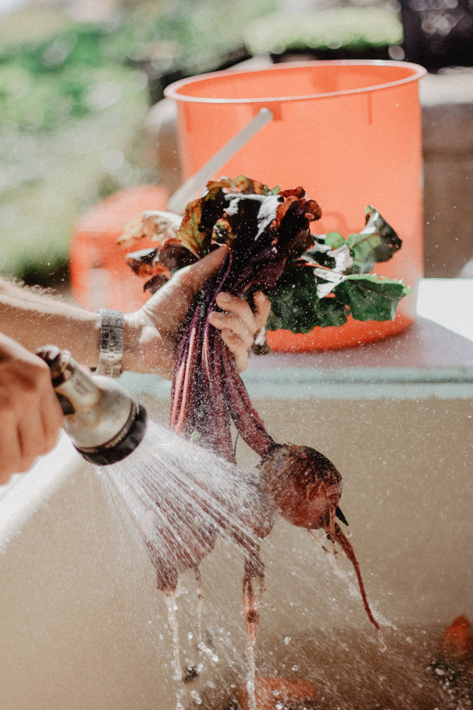 The Healthiest Beets for Blood Pressure