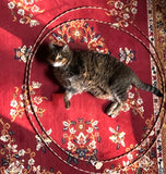 Full Body Tensor Rings